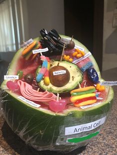 an animal cell made out of watermelon and other food items on a counter