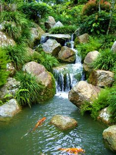 a pond with rocks and plants surrounding it