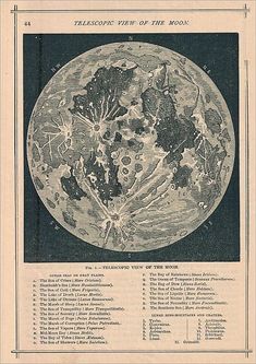 an old map shows the earth as it is surrounded by trees and other things in its surroundings