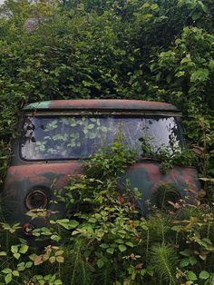 an old rusted out car is surrounded by weeds and trees