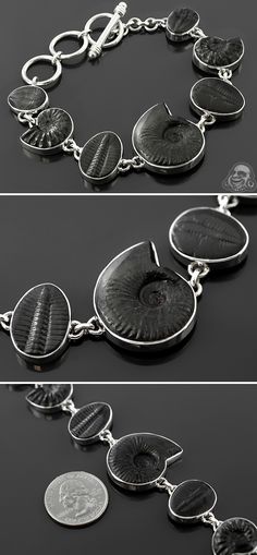 Fossilized trilobite and ammonite bracelet Ammonite Jewelry Handmade, Trilobite Jewelry, Ammonite Jewelry, Extinct Species, Stone Bracelets, Fossil Jewelry, Jewelry Inspo, Stone Bracelet, Second Skin