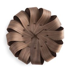 a large brown object that looks like it has been made out of wood and is shaped to look like a flower