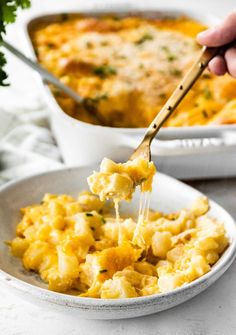 a spoonful of macaroni and cheese being lifted from a white bowl with another dish in the background