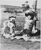 an old black and white photo of a young boy with a baby goat in the background