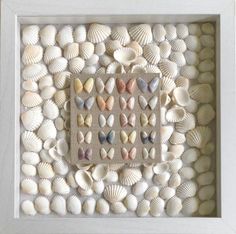 a white frame filled with sea shells