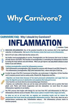 Why Carnivore? | Nutrition with Judy Healing Inflammation, Caveman Diet Food List, Body Temple, Inflammation Foods