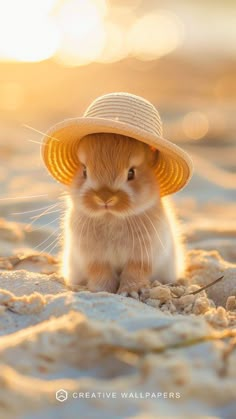 a small brown and white rabbit wearing a straw hat on the beach at sunset or sunrise