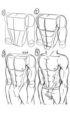 how to draw the torso and upper half of a man's body in 3 easy steps