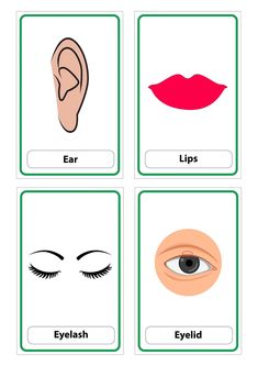 four cards with different types of eyes and lips