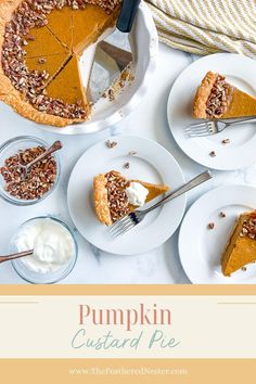 pumpkin custard pie with whipped cream and pecans on the side, surrounded by other pies