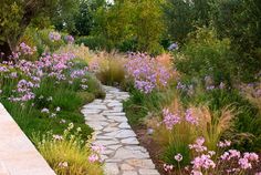 an image of a garden with flowers and plants on it's sides, along with a stone path in the middle