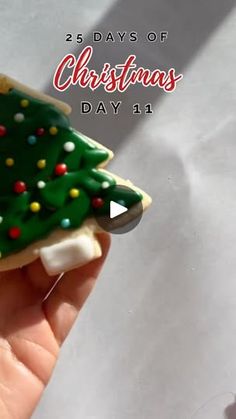 a hand holding a decorated christmas tree cookie