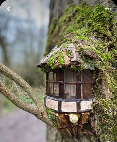 a house made out of moss on a tree