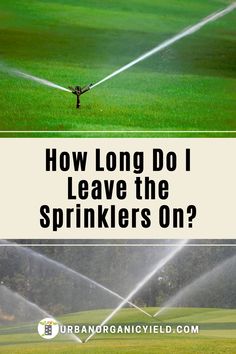 two pictures with the words how long do i leave the sprinkles on?