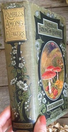 a hand holding an old book with flowers on it