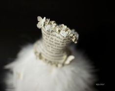 a close up of a book with a crown on it's head and white feathers