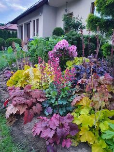 colorful flowers and plants in front of a house