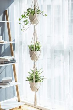 three hanging planters with plants in them on a window sill next to a book shelf