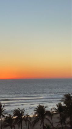 palm trees line the beach as the sun sets