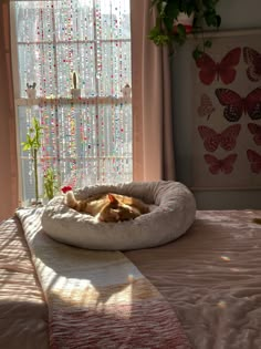 a cat laying in a bed on top of a bed next to a window with butterfly curtains