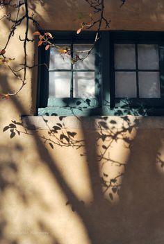 shadows cast on the side of a building with a window and tree branch in front of it