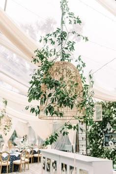 a birdcage hanging from the ceiling is filled with greenery