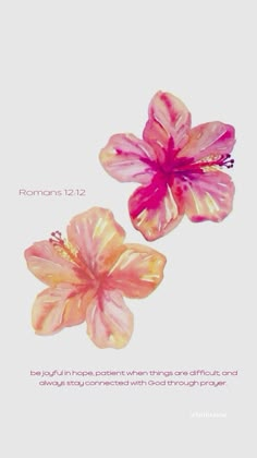 two pink flowers on a white background with the words romans 12 11 and an orange flower