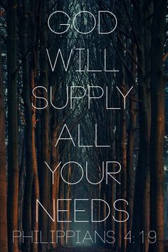 a forest with trees and the words god will supply all your needs