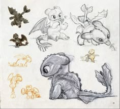 some drawings of different animals and plants