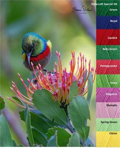 a colorful bird sitting on top of a flower next to green leaves and red flowers