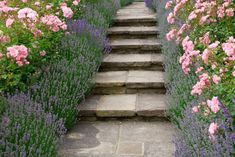 the steps lead up to many different types of flowers