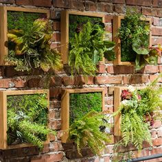 a brick wall with several different types of plants in wooden frames hanging on it's sides