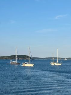 three sailboats floating in the ocean on a sunny day with blue sky and water