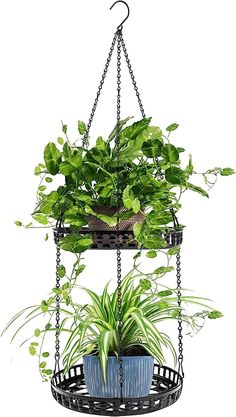 three tiered hanging planter with plants in it