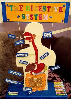 an image of the digest system on display