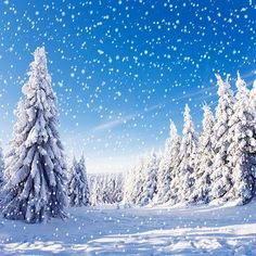 the snow covered trees are in front of blue skies and bright sun shining down on them