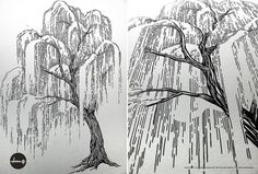 two drawings of trees with rain falling down on them