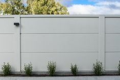 a white fence with some plants growing on it