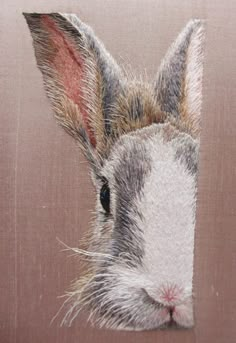 a close up of a rabbit's face on a brown background