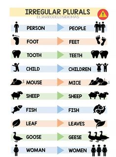 the different types of teeth and their meanings are shown in this chart, which shows how they