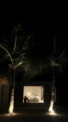 palm trees are lit up at night in front of a house with a bed on it