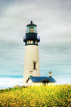 a light house sitting on top of a lush green field filled with yellow wildflowers