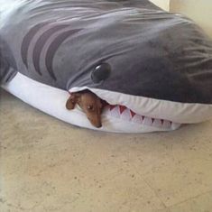 a dog is hiding in a shark pillow