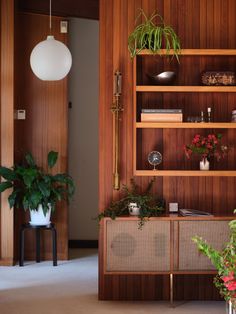 a living room filled with lots of plants next to a wooden shelf covered in potted plants