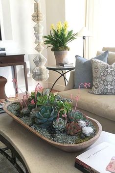 a living room filled with furniture and plants on top of a coffee table in front of a window