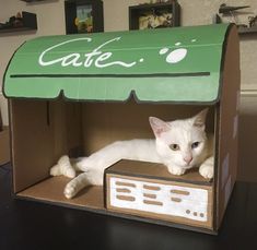 a white cat laying in a cardboard box with the word cafe on it's side