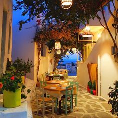 an outdoor dining area with tables and chairs, potted plants on either side of the table