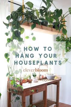 there is a sign that says clever ways to hang your plants