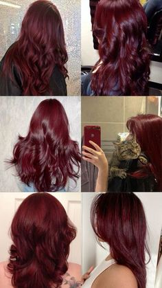 Red Hair With Short Hair, Hair Colour Cherry Red, Marron Red Hair Color, Cherry Cola Hair Color Aesthetic, Vibrant Cherry Red Hair, Burgundy Cherry Hair, Chocolate Cherry Red Hair Color, Black And Wine Red Hair, Deep Red Hair Color Curly