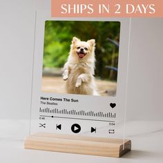 a glass photo frame with an image of a dog on it